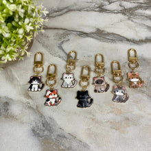 Load image into Gallery viewer, Keychain - Cat Charm #2
